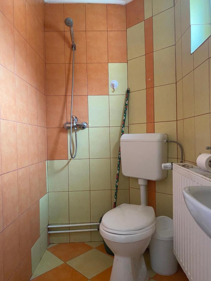 Casa Oana Ioana Guest House Moieciu de Jos Luaran gambar